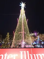 中の広場のイルミネーション（1）