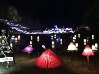 ひばの里のイルミネーション（8）
