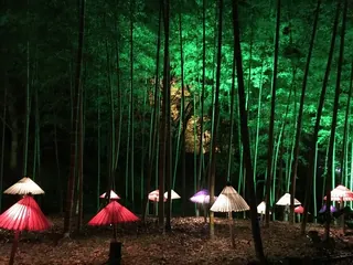 ひばの里のイルミネーション（3）