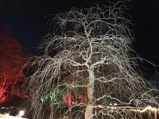 ひばの里のイルミネーション（4）