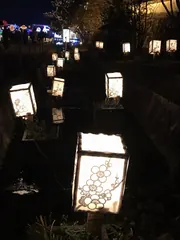 ひばの里のイルミネーション（10）