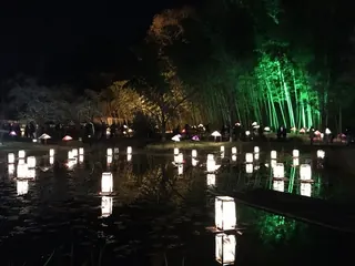 ひばの里のイルミネーション（9）