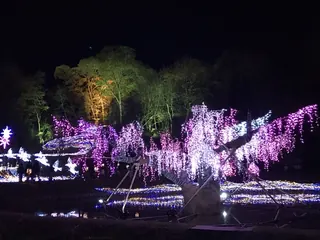 ひばの里のイルミネーション（11）