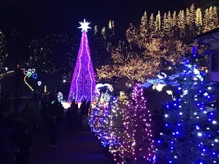 中の広場のイルミネーション（9）