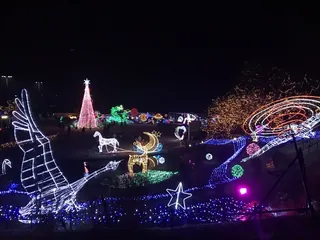 中の広場のイルミネーション（13）