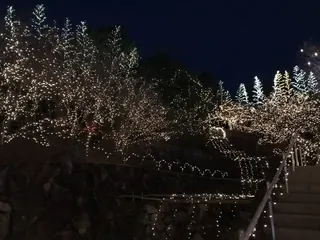 中の広場のイルミネーション（12）