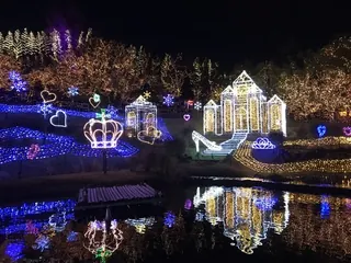 中の広場のイルミネーション（11）