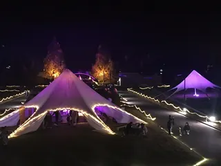 花の広場の音と光のショー（1）