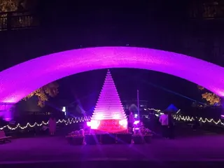 花の広場の音と光のショー（3）