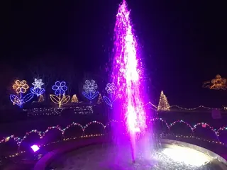 花の広場の音と光のショー（5）