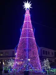 中の広場のイルミネーション（4）