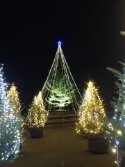 花の広場の音と光のショー（7）