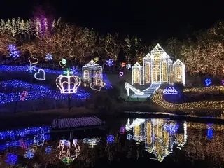 湖畔レストハウス付近から見る花火（2）