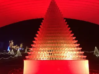 花の広場の音と光のショー（8）