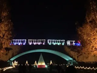 花の広場の音と光のショー（10）