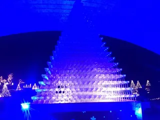 花の広場の音と光のショー（9）