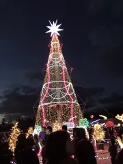 中の広場のイルミネーション（6）