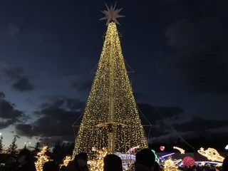 中の広場のイルミネーション（7）