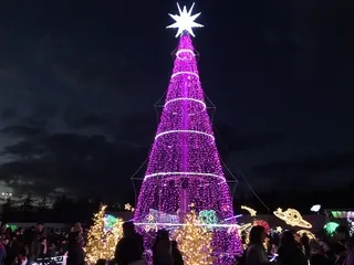 中の広場のイルミネーション（8）