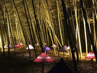 ひばの里のイルミネーション（1）