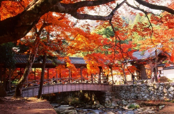 佛通寺の巨蟒橋と紅葉