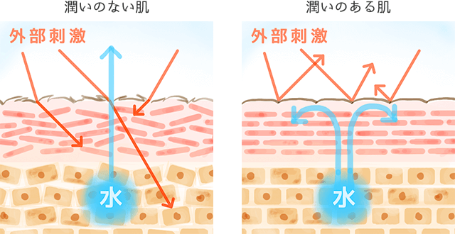 美顔器は潤いとハリ、肌に弾力を与えます