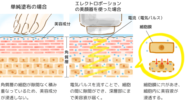 エレクトロポレーション美顔器のメカニズムの解図