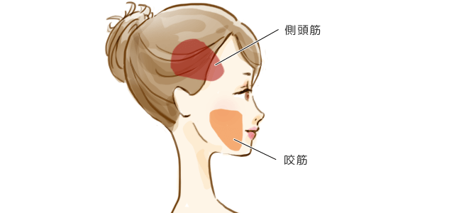 深層筋とは？